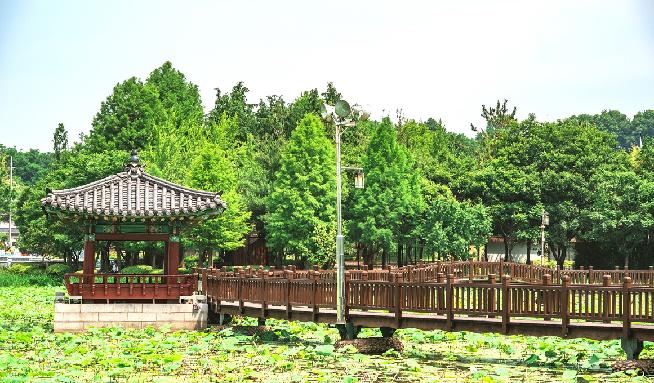 덕진공원 10번째 이미지