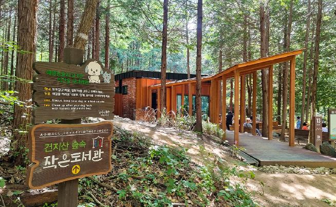 건지산숲속1.jpg