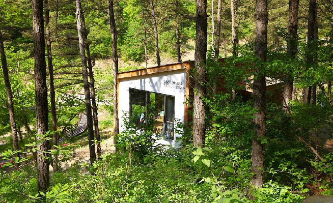 학산숲속4.jpg