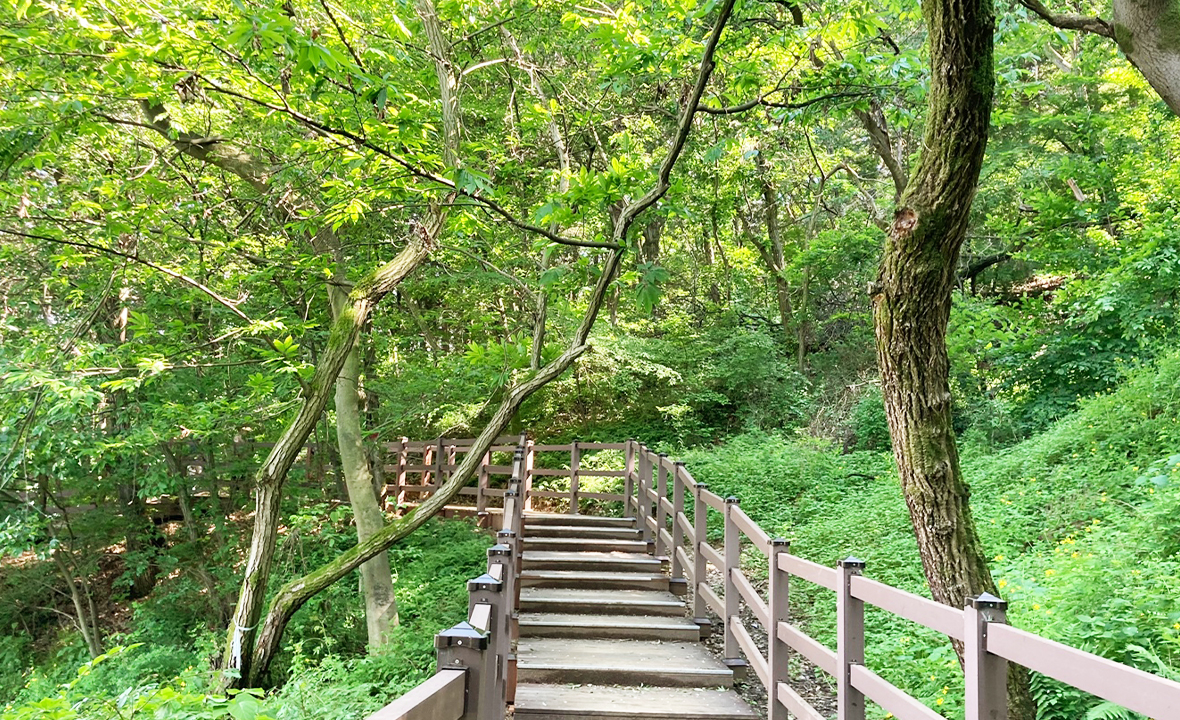 오송제12.jpg