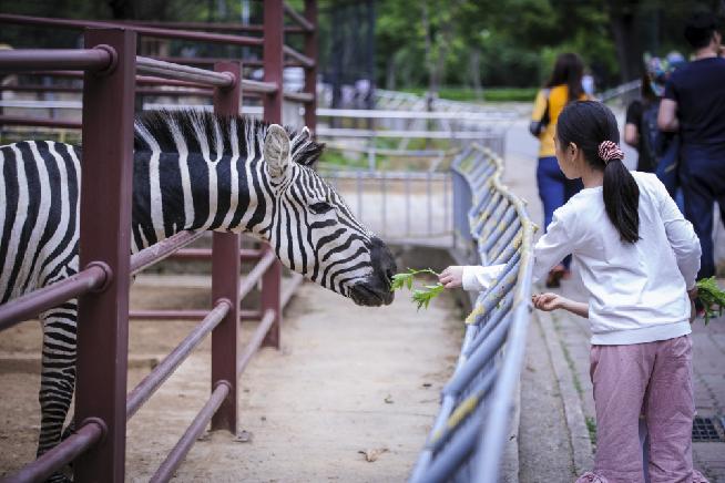 Jeonju Zoo 3번째 이미지