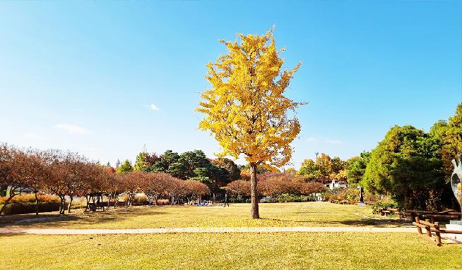 Jeonju Arboretum 6번째 이미지