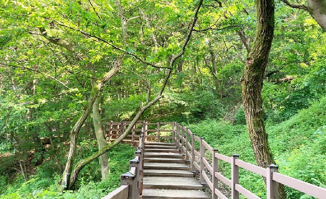 오송제12.jpg