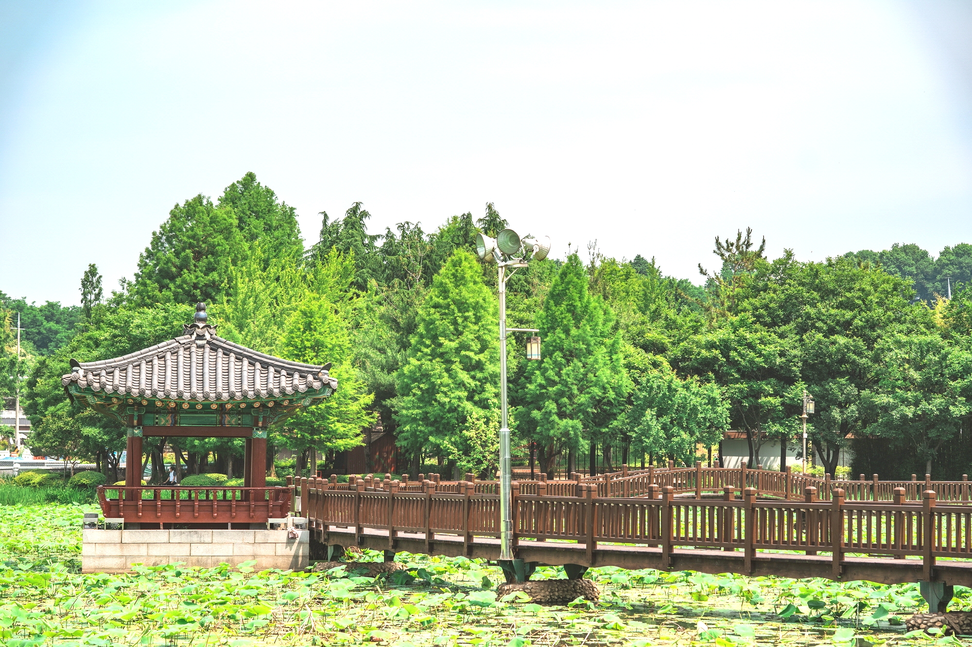 徳津公園（トクチンコンウォン）