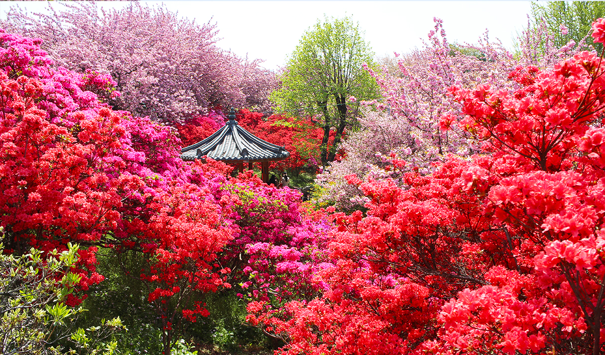 완산꽃동산4.jpg