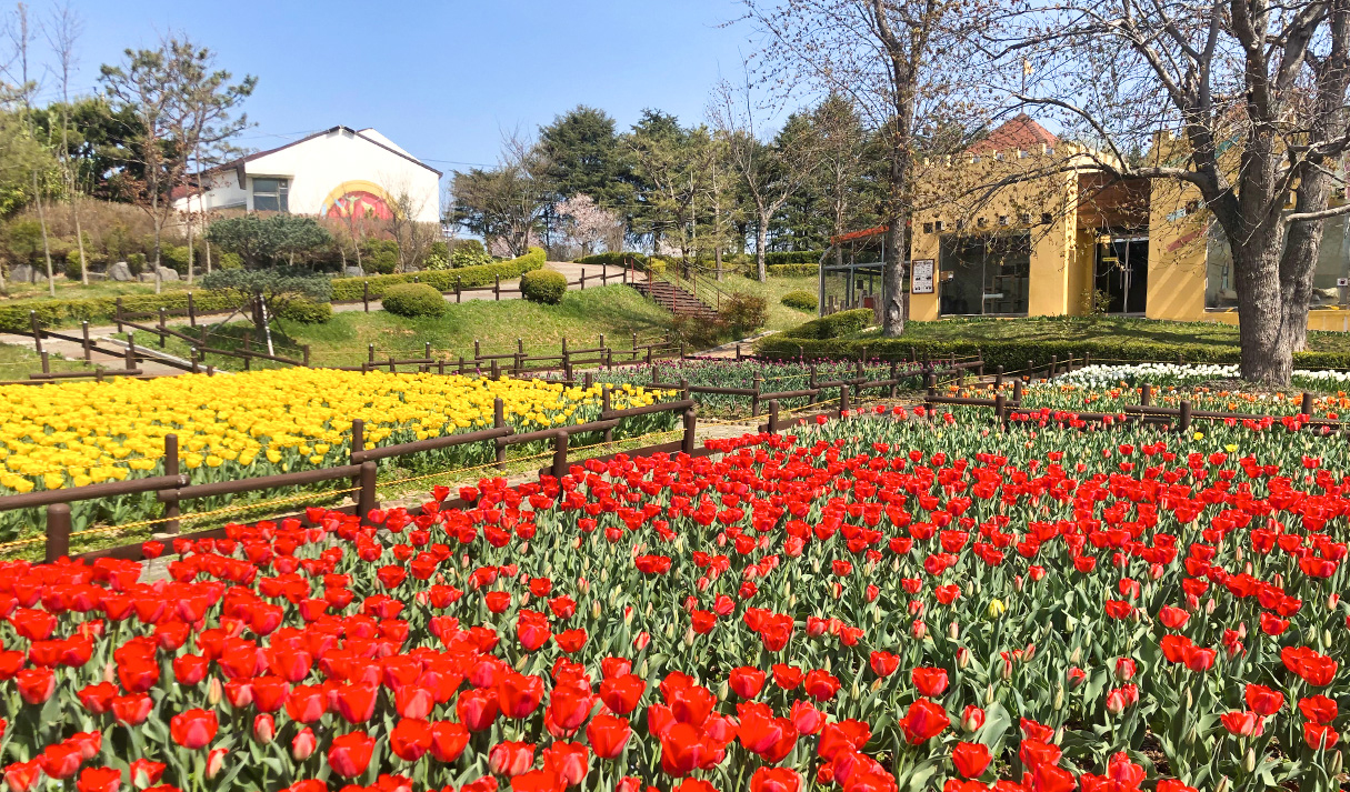 全州動物園 16번째 이미지