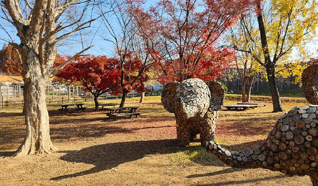全州動物園 6번째 이미지