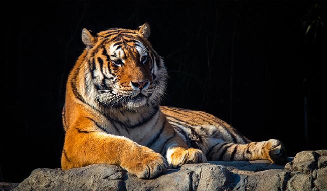 全州動物園 7번째 이미지