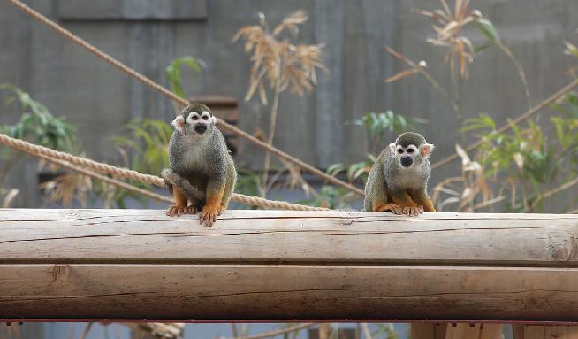 全州動物園 8번째 이미지