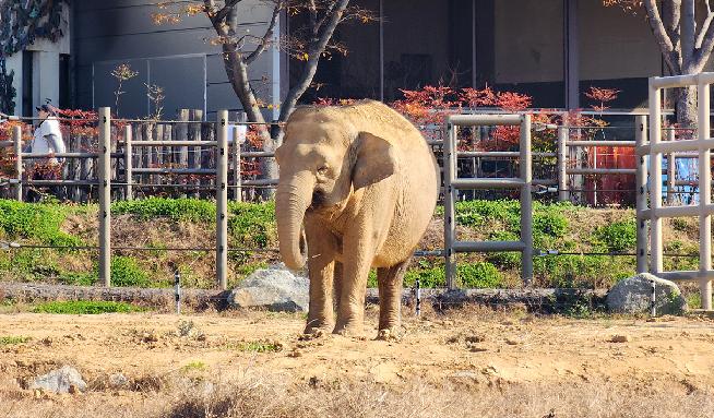 全州動物園 9번째 이미지