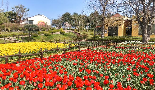 全州動物園 16번째 이미지