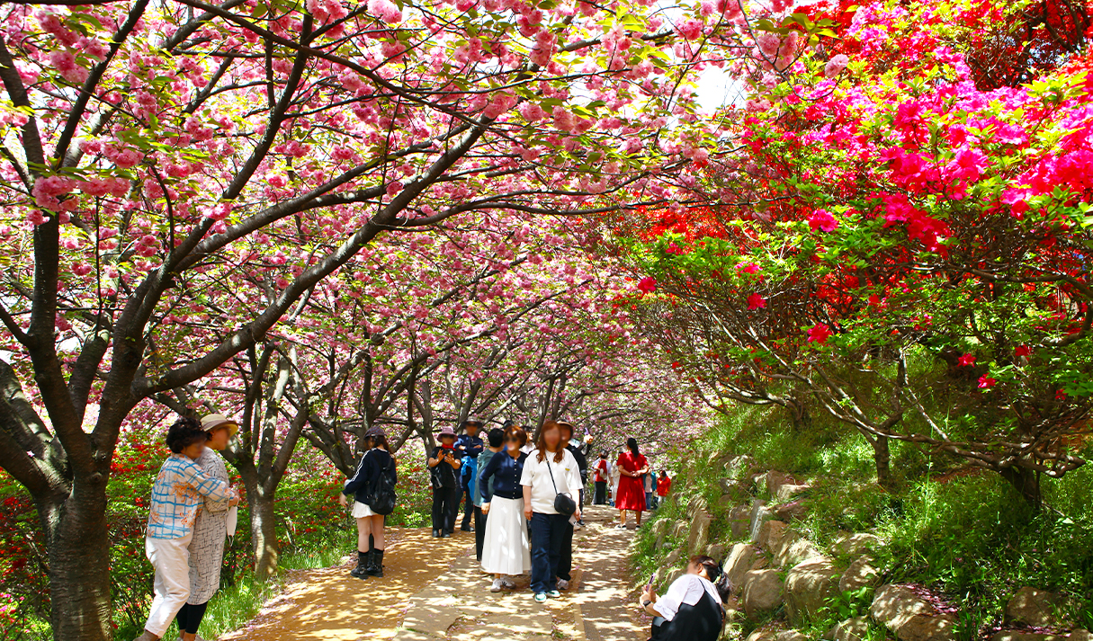 完山花园 6번째 이미지