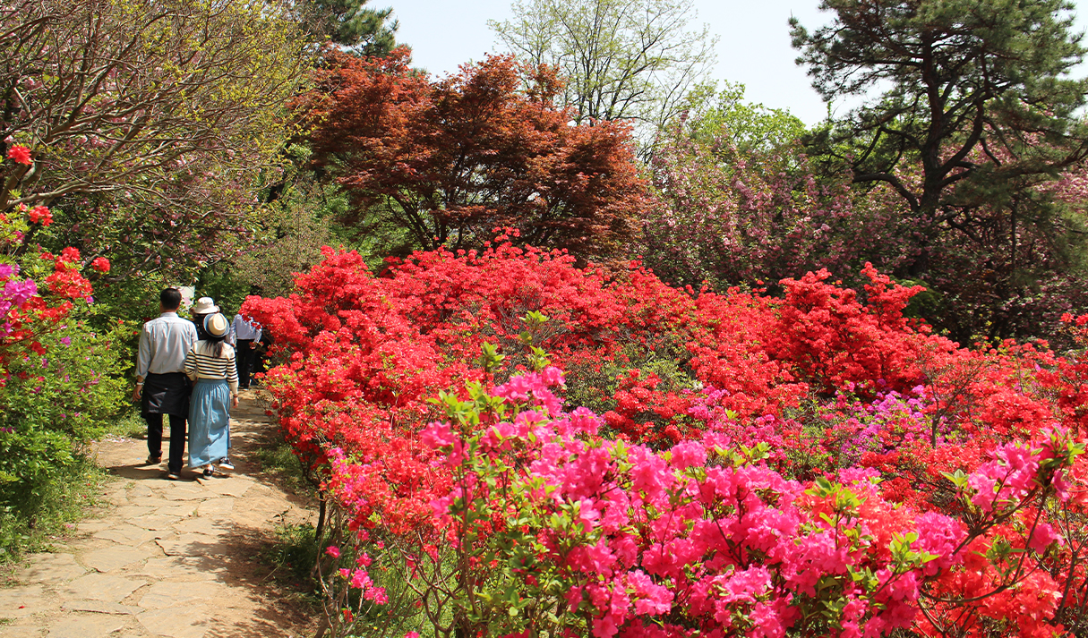 完山花园 7번째 이미지