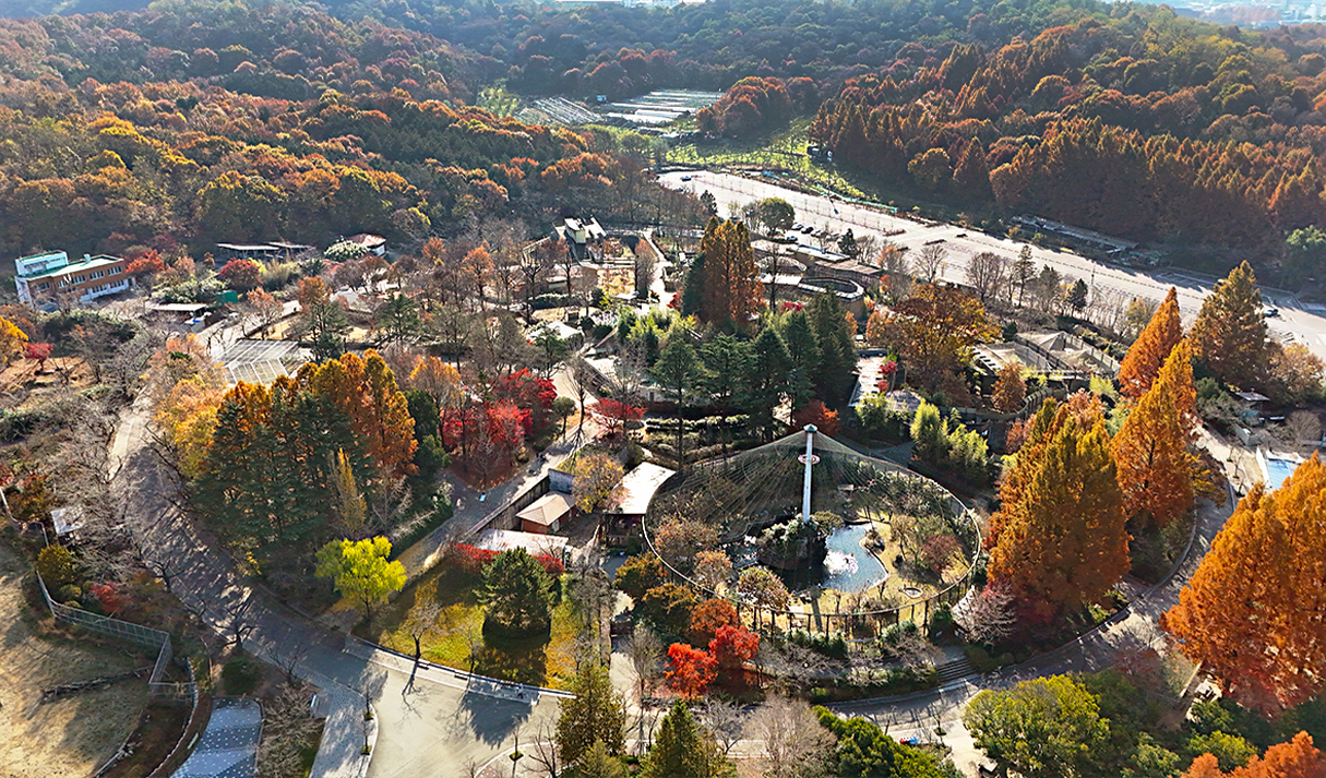 全州动物园 3번째 이미지