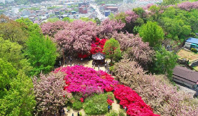 完山花园 2번째 이미지