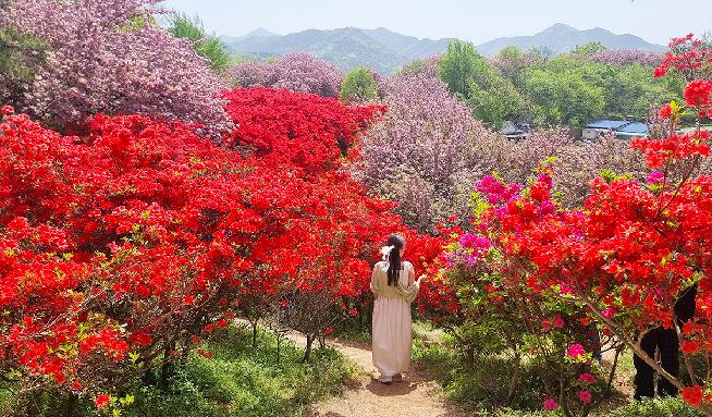 完山花园 3번째 이미지