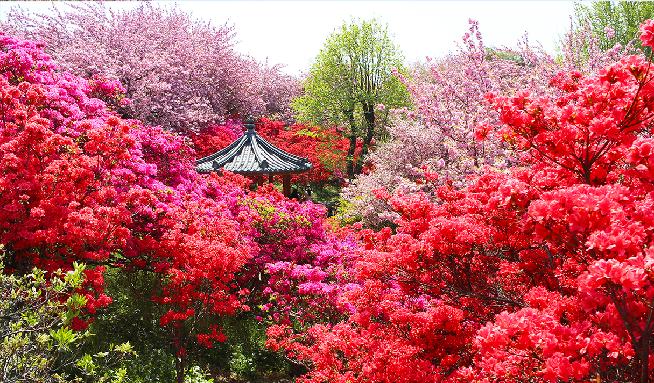 完山花园 4번째 이미지