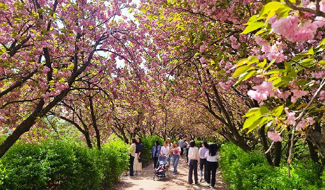 完山花园 5번째 이미지