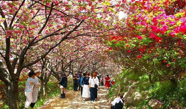 完山花园 6번째 이미지