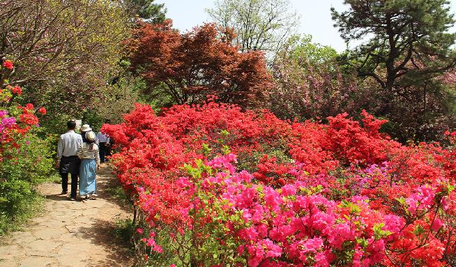 完山花园 7번째 이미지