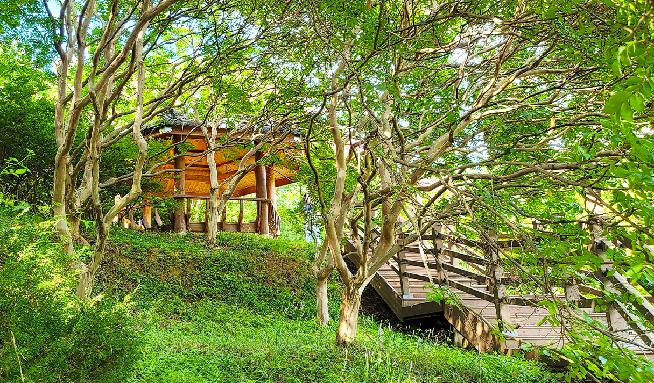 完山花园 10번째 이미지