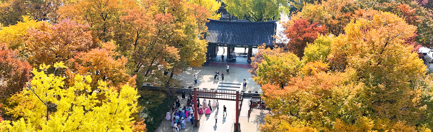 [2025.11] 오색 단풍이 물드는 가을빛 전주