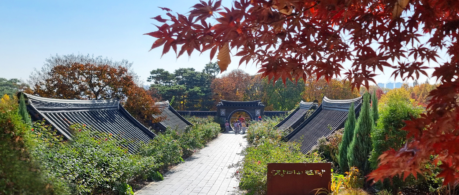 Enjoying the full autumn leaves at the Jeonju Arboretum