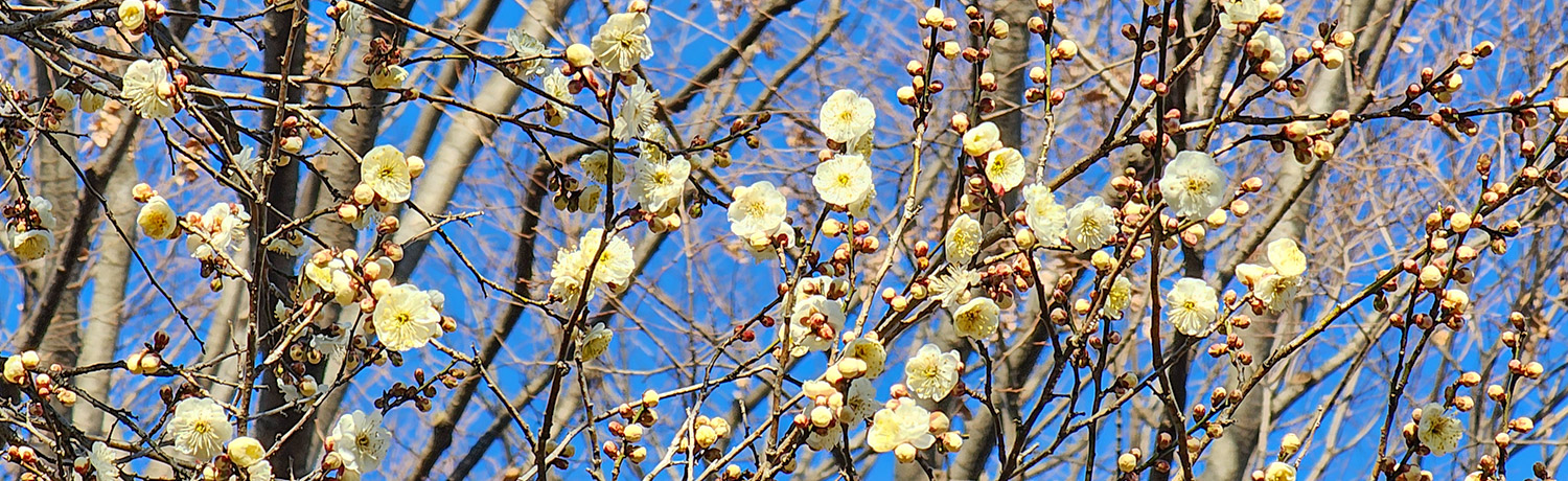 [2026.02] Where You Can Meet Spring First