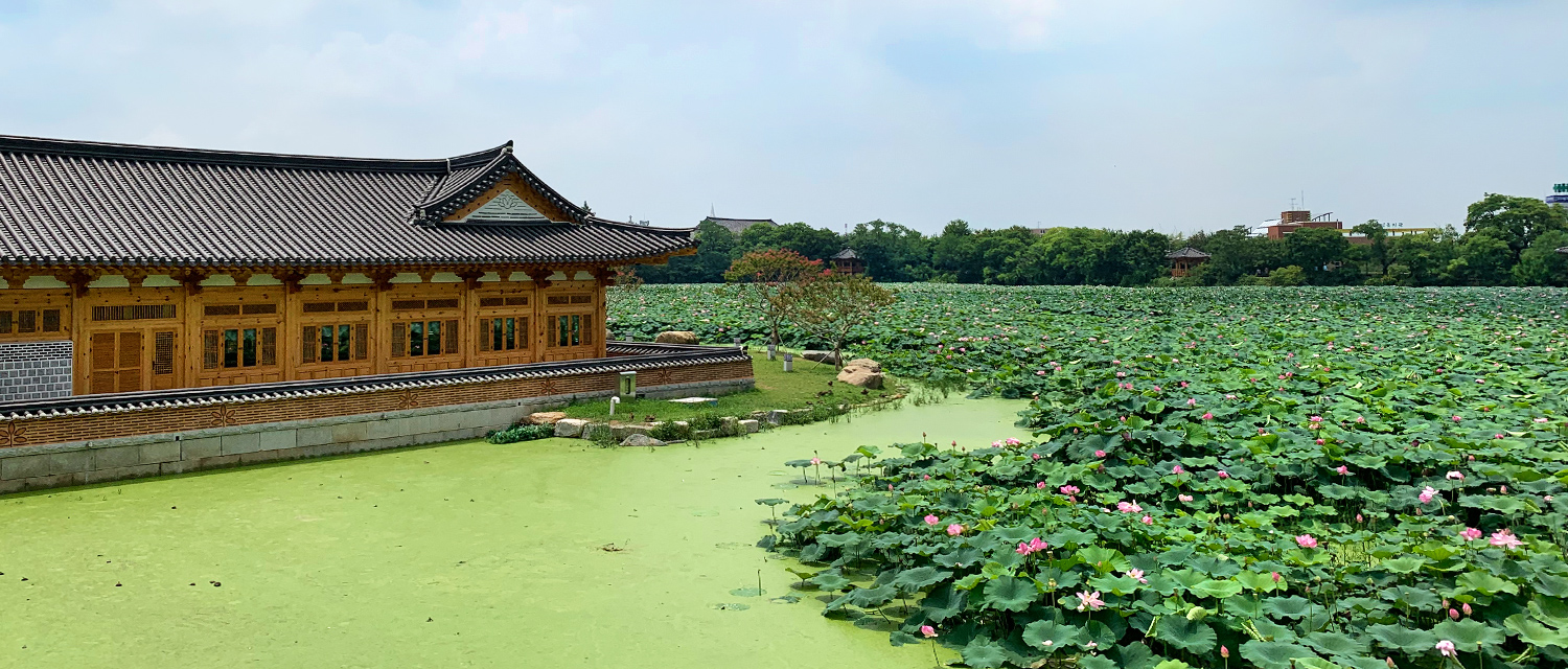 [2022.07] 徳津公園の蓮の花 & 蓮花亭図書館