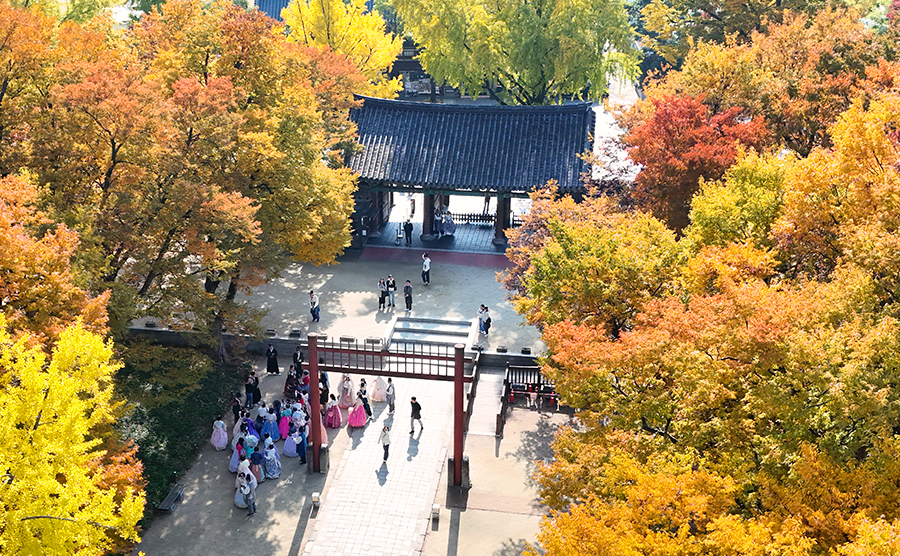 [2025.11] 五彩の紅葉に染まる、秋の全州