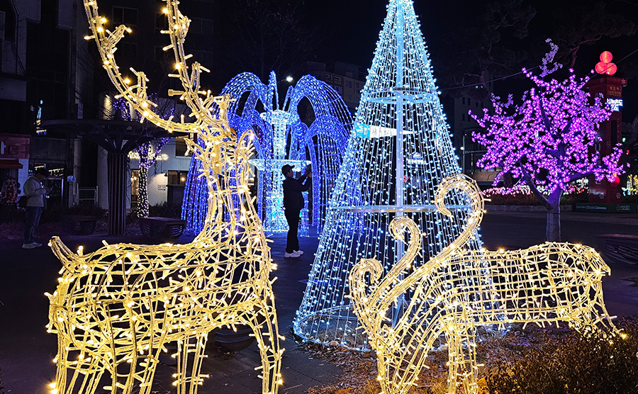 [2025.12] 光で完成する全州ナイトウォーク