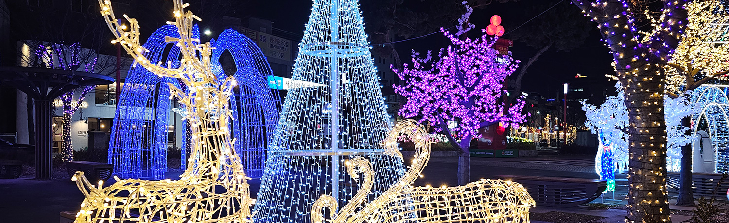 [2025.12] 光で完成する全州ナイトウォーク