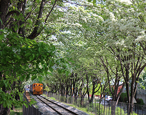 전주·완주 시티투어 2코스 1번째 명소 이미지