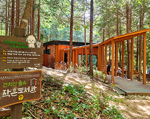 무르익은 가을향기 따라 걷는 데크길 산책 4번째 명소 이미지