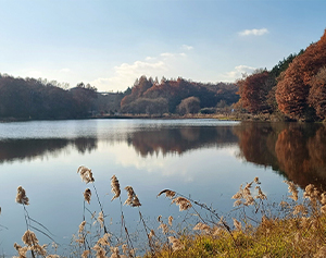무르익은 가을향기 따라 걷는 데크길 산책 5번째 명소 이미지