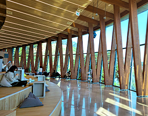 무르익은 가을향기 따라 걷는 데크길 산책 7번째 명소 이미지