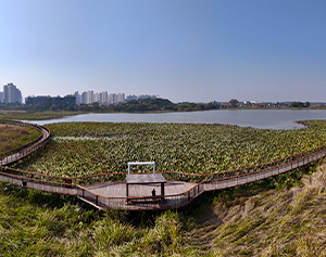 무르익은 가을향기 따라 걷는 데크길 산책 8번째 명소 이미지