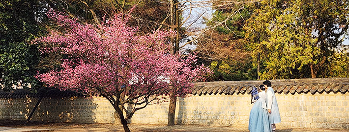 꽃바람 따라, 전주로!