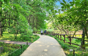 全州樹木園