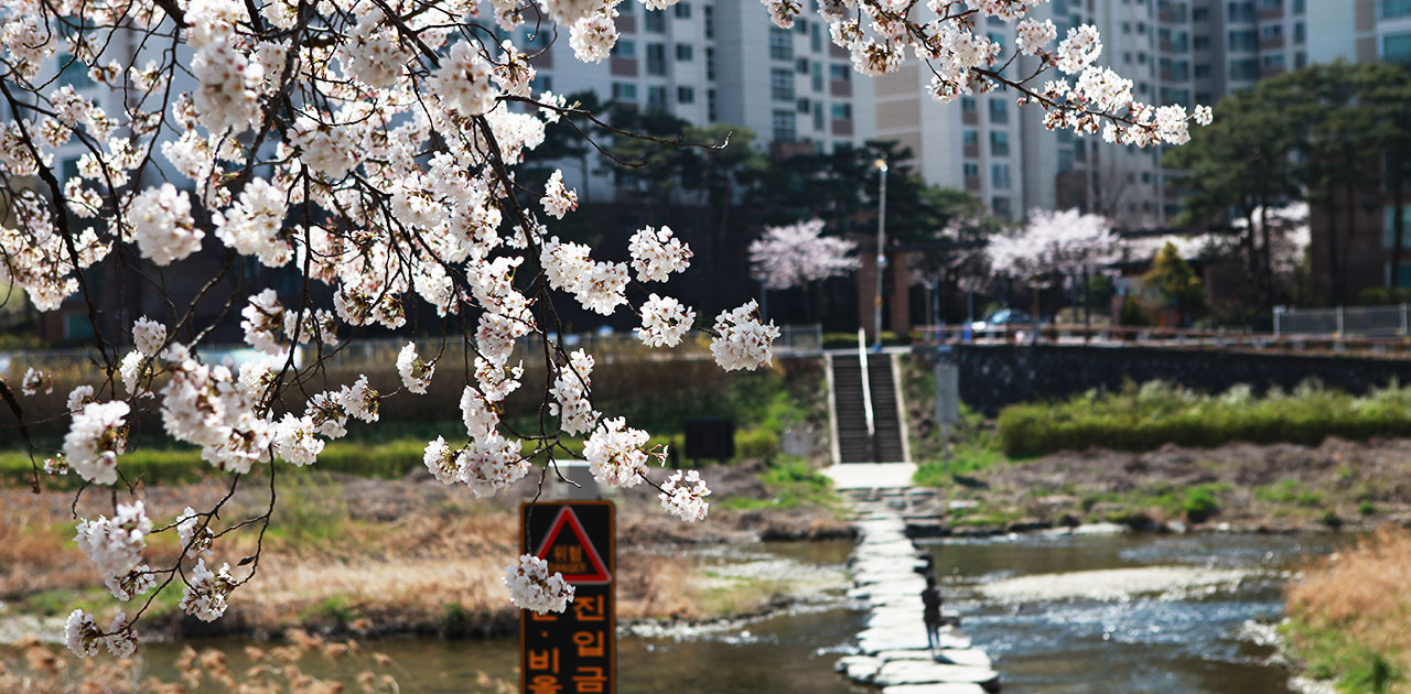 Blooming spring, riding a bike to the Palbok Art Factory!