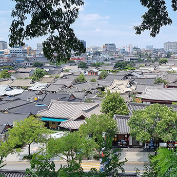 전주·임실 당일 패키지