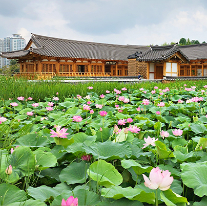 [아름여행사] 전주 리브립